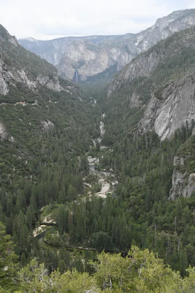 DSC_4505 (Large).JPG